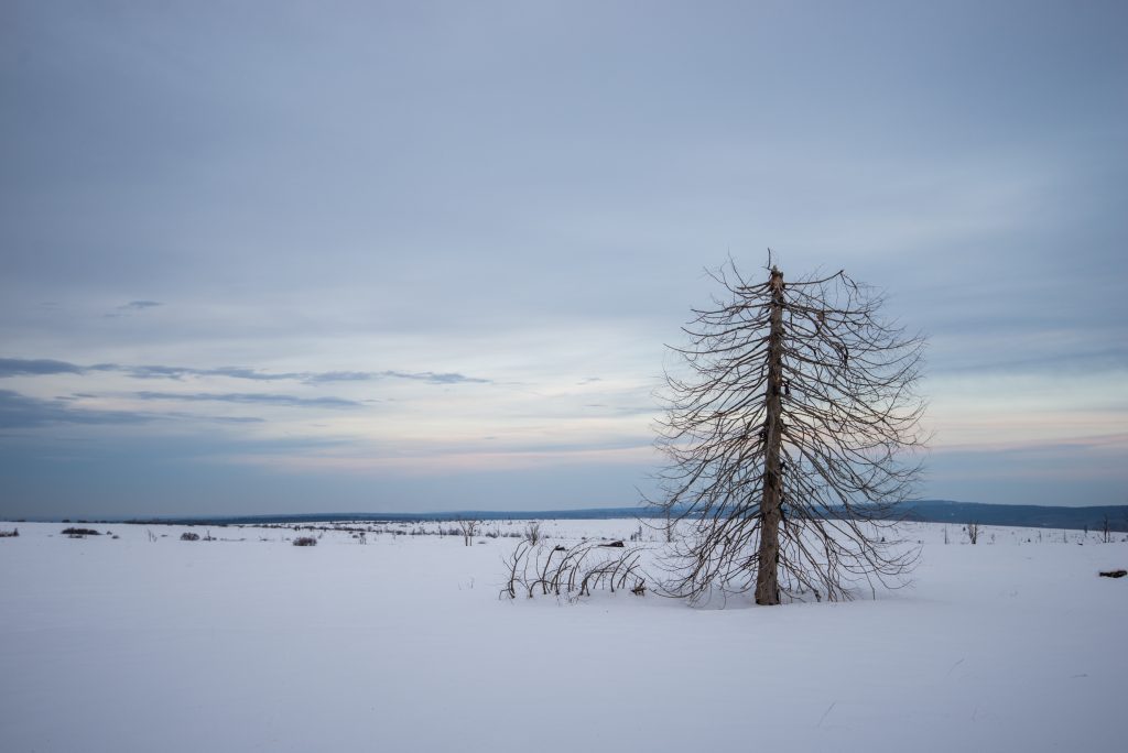 Winter in Belgium