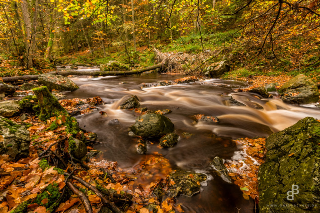 Fall in Belgium