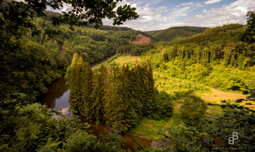 Summer in Belgium at the Ardennes forests