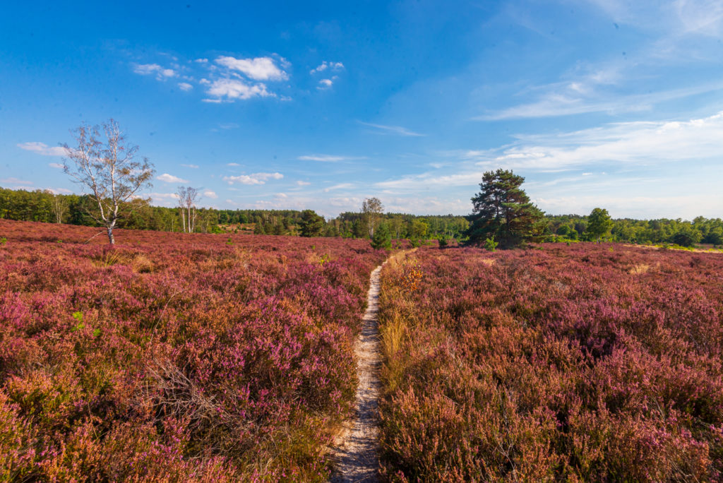 Hiking trail in Limburg