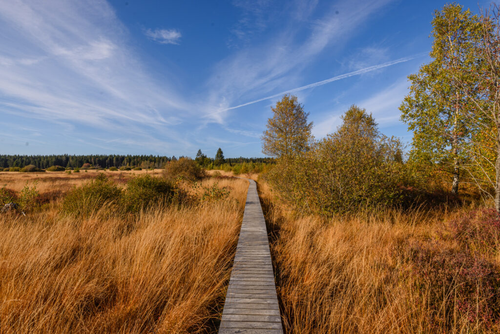 High Fens Hiking Trail