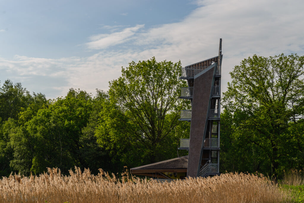 Lookout tower at De Wijers